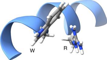 Tryptophan- and arginine-rich antimicrobial peptides: Anti-infectives with great potential