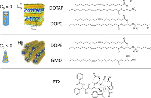 Lipids with negative spontaneous curvature decrease the solubility of the cancer drug paclitaxel in liposomes