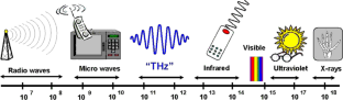 Analysis of the application status of terahertz technology in forestry