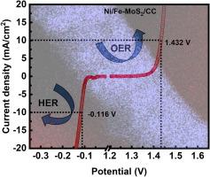 Flower-shaped 1 T/2H-phase molybdenum disulfide co-doped with nickel and iron grown on carbon cloth for enhanced water splitting