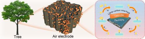 Wood-derived freestanding integrated electrode with robust interface-coupling effect boosted bifunctionality for rechargeable zinc-air batteries