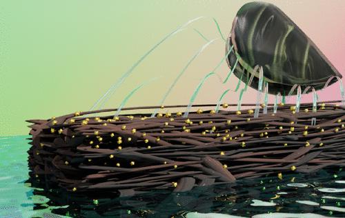 Tuning the Chemical and Electrochemical Properties of Paper-Based Carbon Electrodes by Pyrolysis of Polydopamine