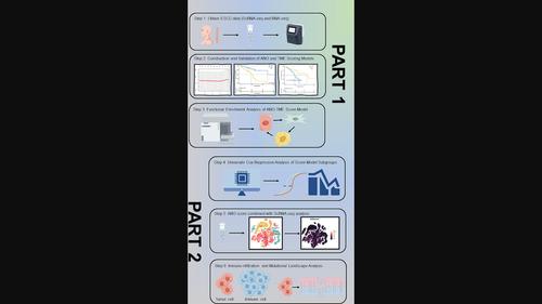 Identification of prognostic value of anoikis-related gene score model combined with tumor microenvironment score models in esophageal squamous cell carcinoma