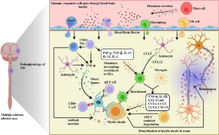 Potential of Nano-Engineered Stem Cells in the Treatment of Multiple Sclerosis: A Comprehensive Review