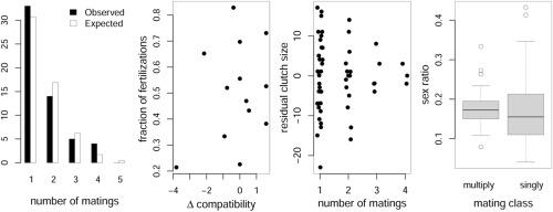 Multiple mating does not benefit females of a polyandrous pollinating fig wasp