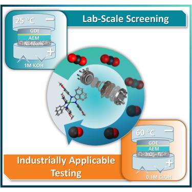 Pushing the Ag-loading of CO2 electrolyzers to the minimum via molecularly tuned environments