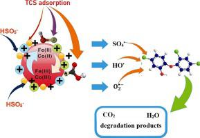 A comparative investigation on the decomposition of triclosan via synthesized heterogeneous nano-catalysts in the presence of peroxymonosulfate