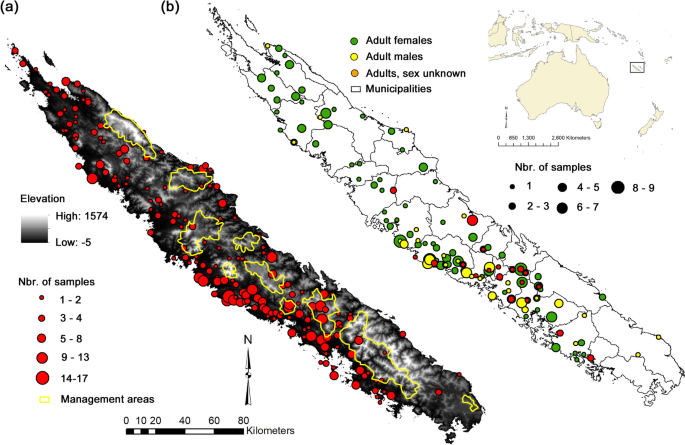 Landscape structure does not hinder the dispersal of an invasive herbivorous mammal in the New Caledonian biodiversity hotspot