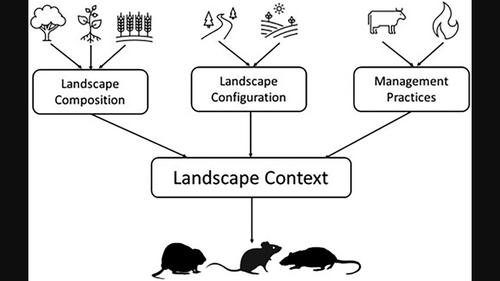 Small mammal associations with habitat composition, configuration, and management in tallgrass prairies: a review