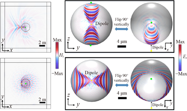 Curved anisotropic polaritons