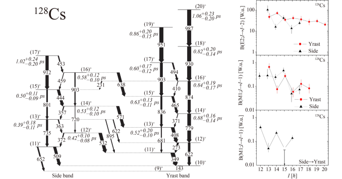 The g-factor measurement as an ultimate test for nuclear chirality