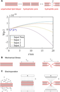 Simulation of microfluidic intracellular delivery based on the synergy of cell squeezing and electrical field