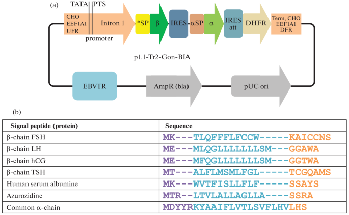 Enhancing Human Glycoprotein Hormones Production in CHO Cells Using Heterologous Beta-Chain Signal Peptides