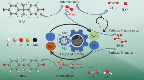 Magnetic Co-doped 1D/2D structured γ-Fe2O3/MoS2 effectively activated peroxymonosulfate for efficient abatement of bisphenol A via both radical and non-radical pathways