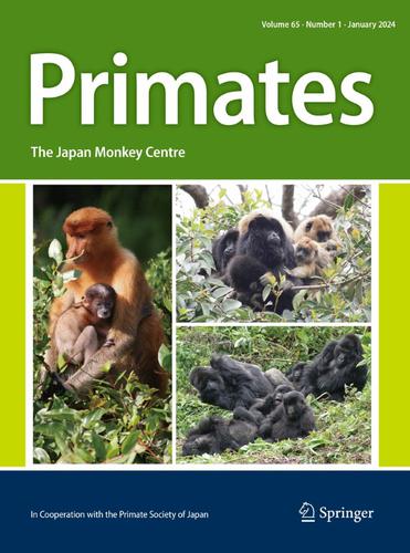 Cover illustration of Primates vol. 65 (2024)