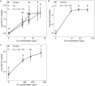 Comparative subchronic toxicity of copper and a tertiary copper mixture to early life stage rainbow trout (Oncorhynchus mykiss): impacts on growth, development, and histopathology