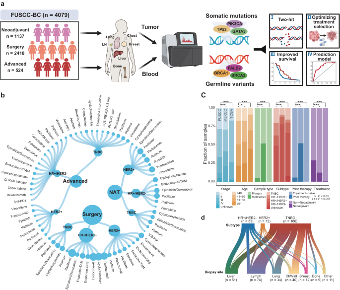 Comprehensive genomic profiling of breast cancers characterizes germline-somatic mutation interactions mediating therapeutic vulnerabilities