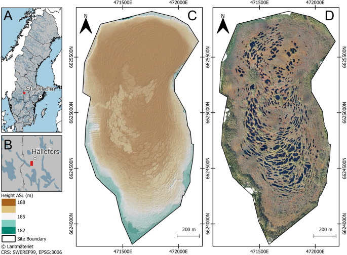 Six Decades of Changes in Pool Characteristics on a Concentric-Patterned Raised Bog