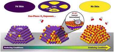 Probing the nanoscale driving forces for adsorbate-induced Rh50Pd50 nanoparticle reconstruction via mean-field models of multi-faceted nanoparticles†