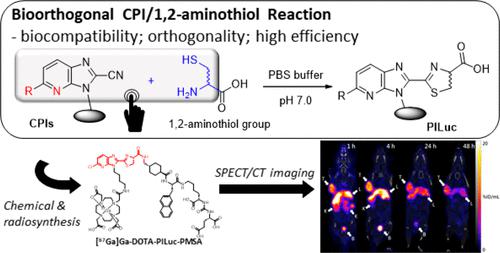 Cyanopyridoimidazole/1,2-Aminothiol Click Reaction: A Novel Bioorthogonal Reaction for Synthesis of Radiotracers