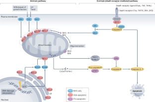 A guide to cell death pathways