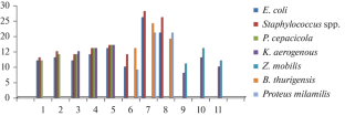 A Review of the Synthesis, Spectral Aspects, and Biological Evaluation of Silicon(IV) Complexes with N, O, and S Donor Ligands