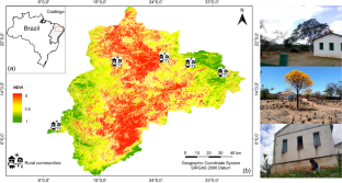 Functional Traits Drive the Selection of Plant Species Used by Agropastoralists in the Brazilian Semiarid Region