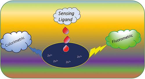 Recent Developments in the Detection of Zn2+ Ions Using Schiff Base Probes