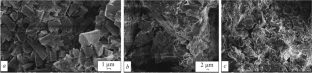 Effect of Drying on Properties of Magnesium Phosphate Materials from Kovdor Mining and Enrichment Combine Waste