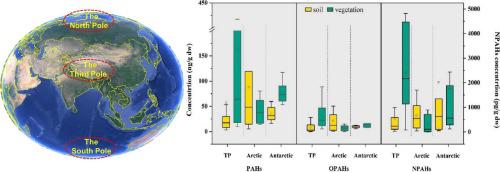 The occurrence and sources of PAHs, oxygenated PAHs (OPAHs), and nitrated PAHs (NPAHs) in soil and vegetation from the Antarctic, Arctic, and Tibetan Plateau