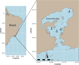 Assessment of microplastic impacts on whitemouth croaker (Micropogonias furnieri) and ecosystem services in Guanabara Bay, Brazil