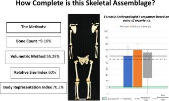 Forensic anthropologists and estimates of skeletal completeness: The impacts of training and experience