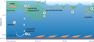 Climate change impacts on Antarctic krill behaviour and population dynamics