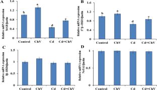 The Role of Chlorella vulgaris in Attenuating Infertility Induced by Cadmium Chloride via Suppressing Oxidative Stress and Modulating Spermatogenesis and Steroidogenesis in Male Rats.