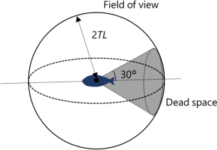 Evaluating bias in stereo camera measurements using swimming behavior simulations