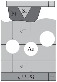 An Analytical Model of 2D Dissipative Tunnel Bifurcations for Planar Structures with Gold Nanoparticles in an External Electric Field