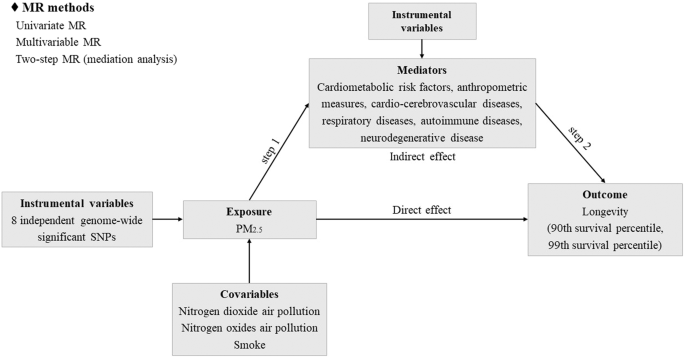 Mendelian randomization study supports the causal effects of air pollution on longevity via multiple age-related diseases