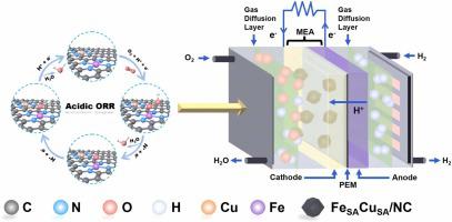 A robust asymmetric diatomic electrocatalyst for oxygen reduction reaction in both acidic and alkaline media