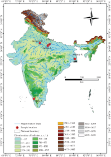 Assessment of Morphometric Variations among the Populations of Asian Sheat Catfish Wallago attu (Siluridae) from Five Indian Rivers