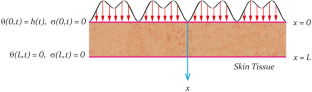 Modified Moore–Gibson–Thompson Pennes’ bioheat transfer model for a finite biological tissue subjected to harmonic thermal loading