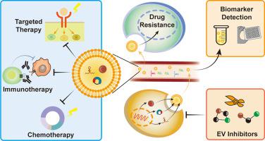 Extracellular Vesicles in Anti-tumor Drug Resistance: Mechanisms and Therapeutic Prospects