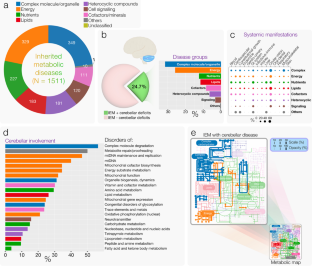 Metabolic Determinants of Cerebellar Circuit Formation and Maintenance