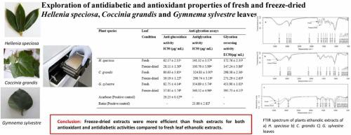 Exploration of antidiabetic and antioxidant properties of fresh and freeze-dried Hellenia speciosa, Coccinia grandis and Gymnema sylvestre leaves