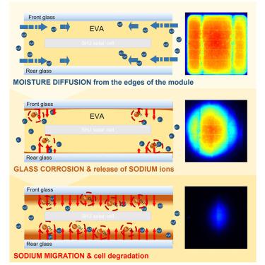 A comprehensive physical model for the sensitivity of silicon heterojunction photovoltaic modules to water ingress