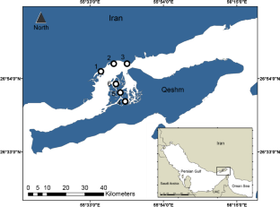 The effect of habitat structural complexity on gastropods in an arid mangrove wetland