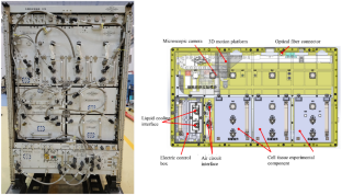 Research and Development of Cell Culture Devices Aboard the Chinese Space Station