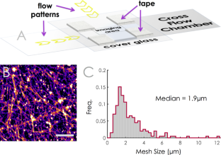 Non-specific cargo–filament interactions slow down motor-driven transport