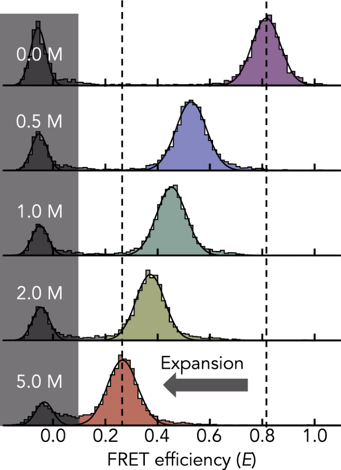 Electrostatics and hydrophobicity in the dynamics of intrinsically disordered proteins