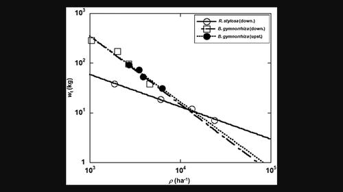 Carrying capacity for tree biomass of a subtropical mangrove along a river in Japan inferred from forest structural features