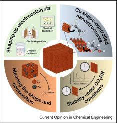 Tuning carbon dioxide electroreduction through selective facet exposure